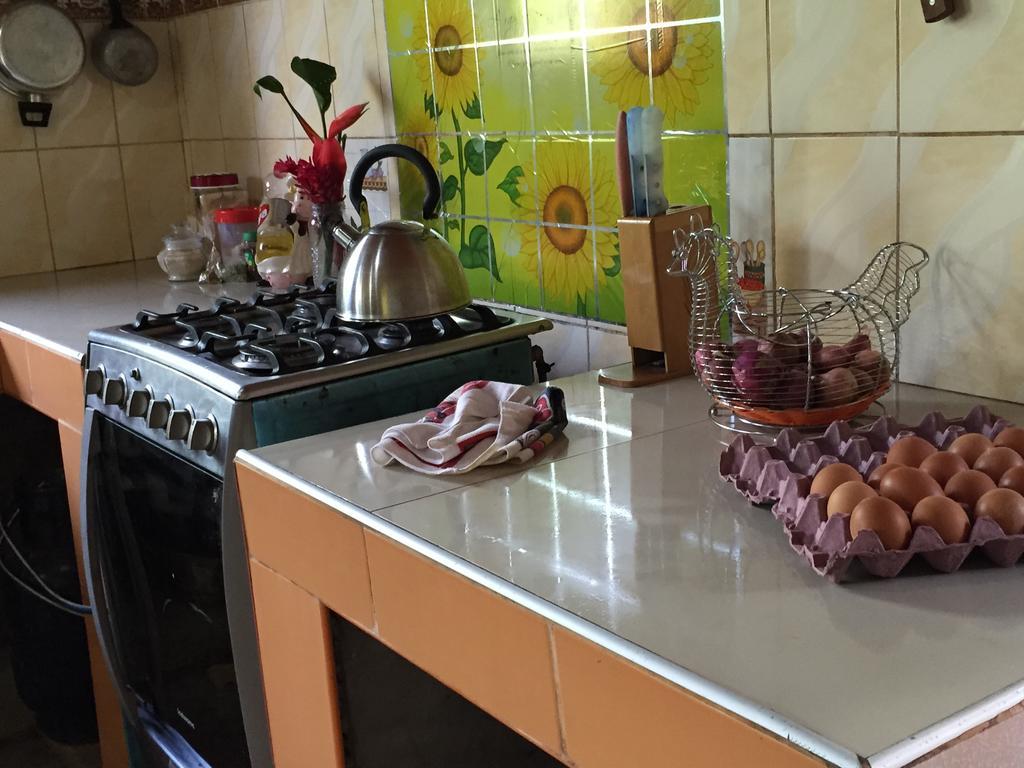 Isuyama Hostel Puerto Maldonado Dış mekan fotoğraf